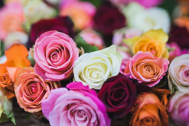 bloemen